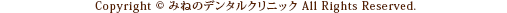 Copyright&nbsp;&copy;&nbsp;栃木市・みねのデンタルクリニック監修｜症状別歯科治療WEB All Rights Reserved.